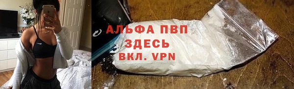 стафф Алексин