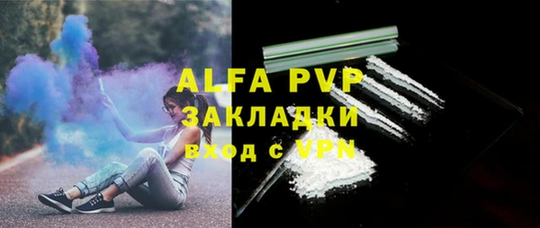 стафф Алексин