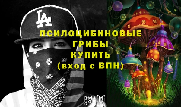 ешки Алексеевка