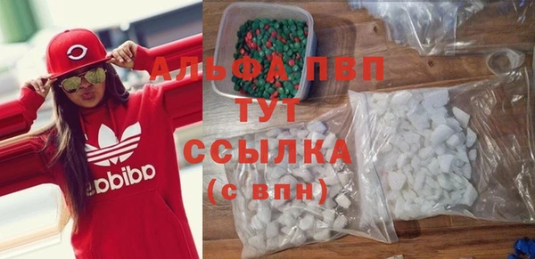 стафф Алексин