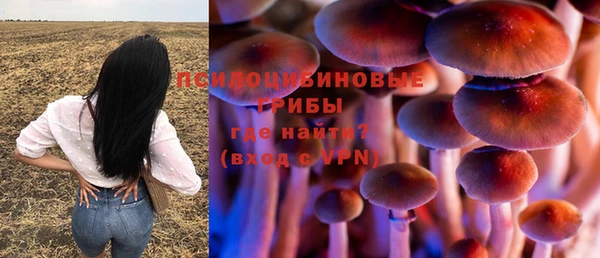 стафф Алексин