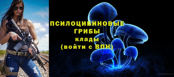 стафф Алексин