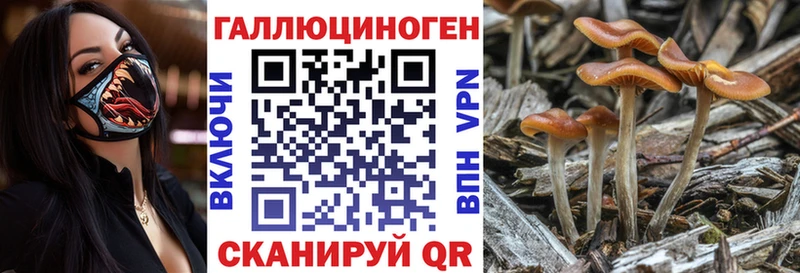 Псилоцибиновые грибы Cubensis  Льгов 